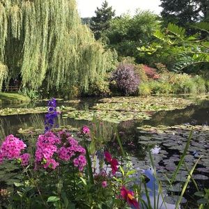 Meet your Posher, Jane